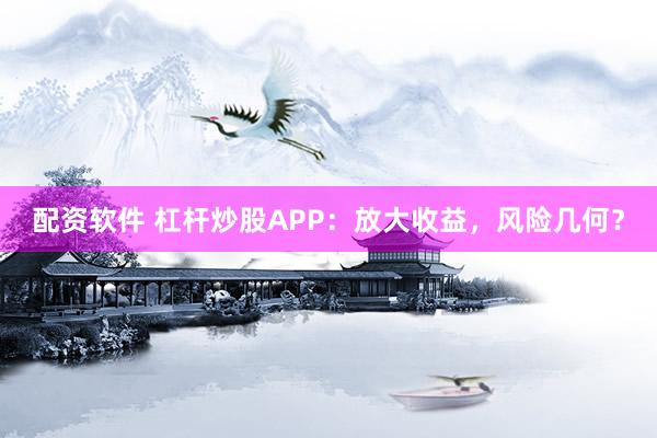 配资软件 杠杆炒股APP：放大收益，风险几何？