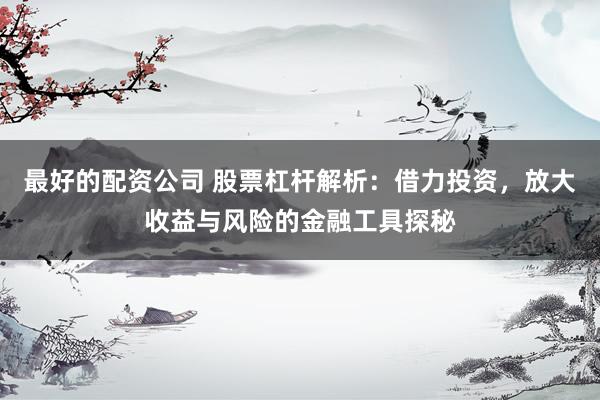 最好的配资公司 股票杠杆解析：借力投资，放大收益与风险的金融工具探秘