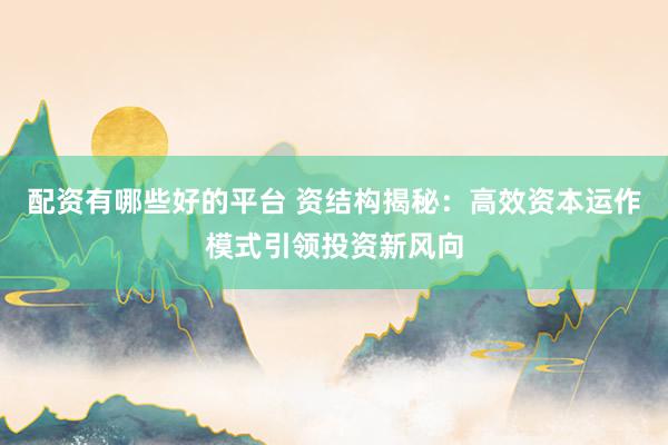 配资有哪些好的平台 资结构揭秘：高效资本运作模式引领投资新风向