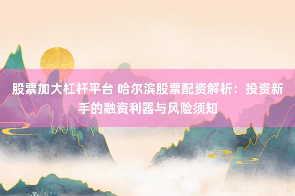 股票加大杠杆平台 哈尔滨股票配资解析：投资新手的融资利器与风险须知