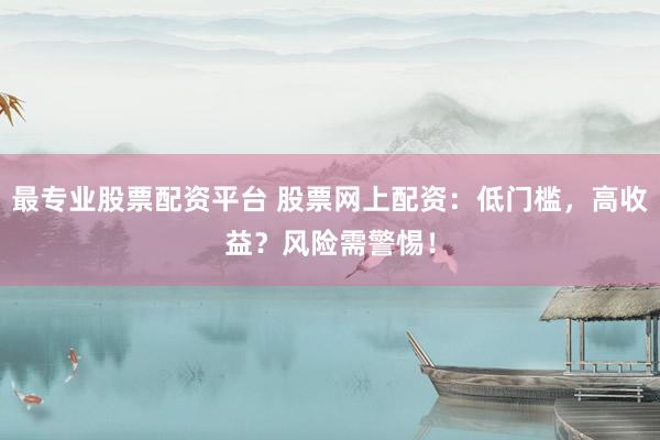 最专业股票配资平台 股票网上配资：低门槛，高收益？风险需警惕！