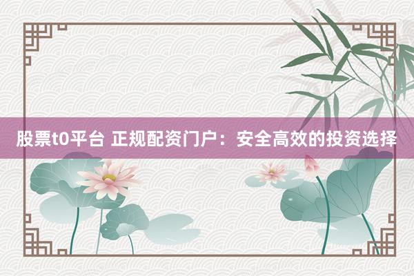 股票t0平台 正规配资门户：安全高效的投资选择