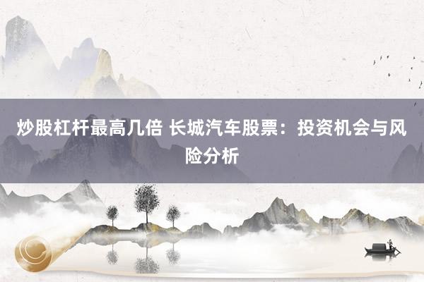 炒股杠杆最高几倍 长城汽车股票：投资机会与风险分析