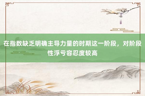 在指数缺乏明确主导力量的时期这一阶段，对阶段性浮亏容忍度较高