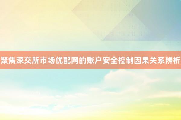 聚焦深交所市场优配网的账户安全控制因果关系辨析