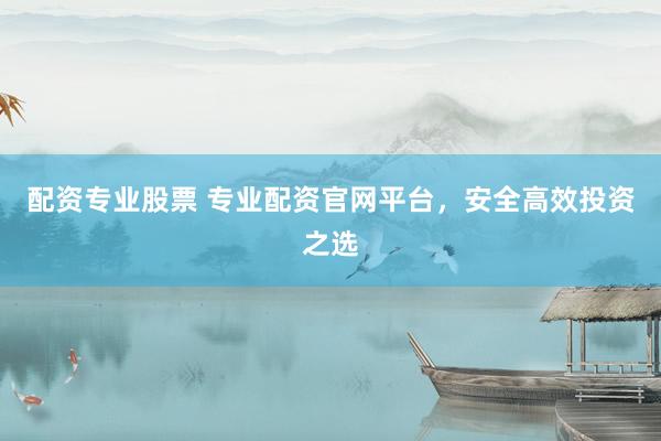 配资专业股票 专业配资官网平台，安全高效投资之选