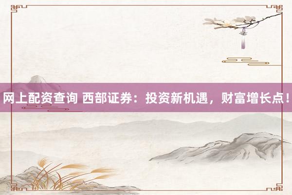 网上配资查询 西部证券:投资新机遇,财富增长点!