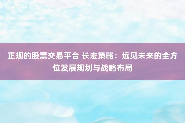正规的股票交易平台 长宏策略：远见未来的全方位发展规划与战略布局