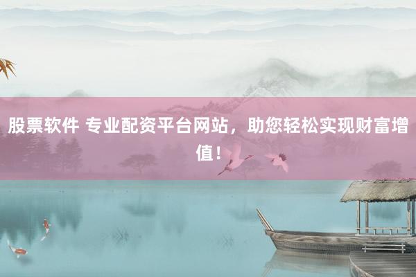 股票软件 专业配资平台网站，助您轻松实现财富增值！